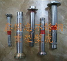 瑞安振武供應優質不銹鋼加長膨脹螺絲，為建筑材料注入持久穩固力量